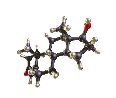 iStock000010907832Medium